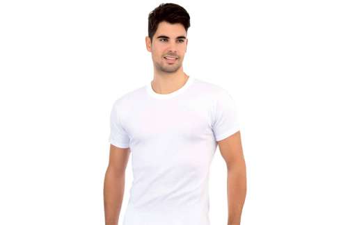 M - L - XL - XXL
